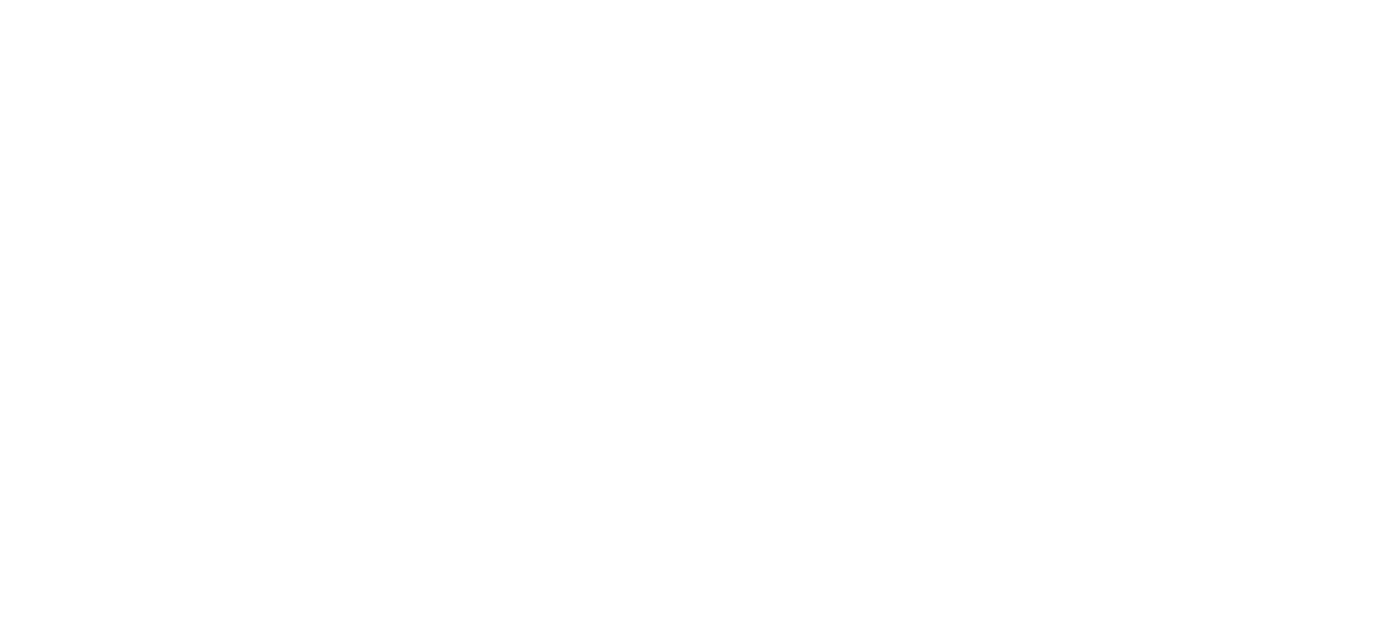 IIE logo